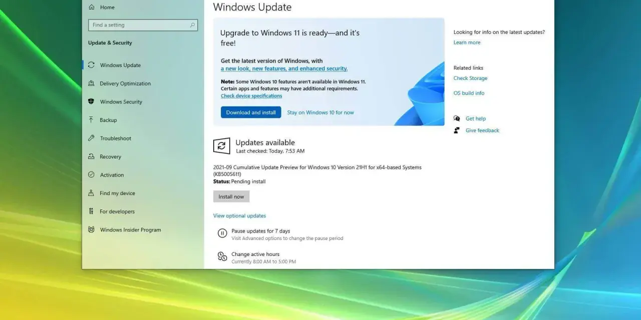 Windows 11 do kiedy za darmo? Nie przegap tej okazji na upgrade