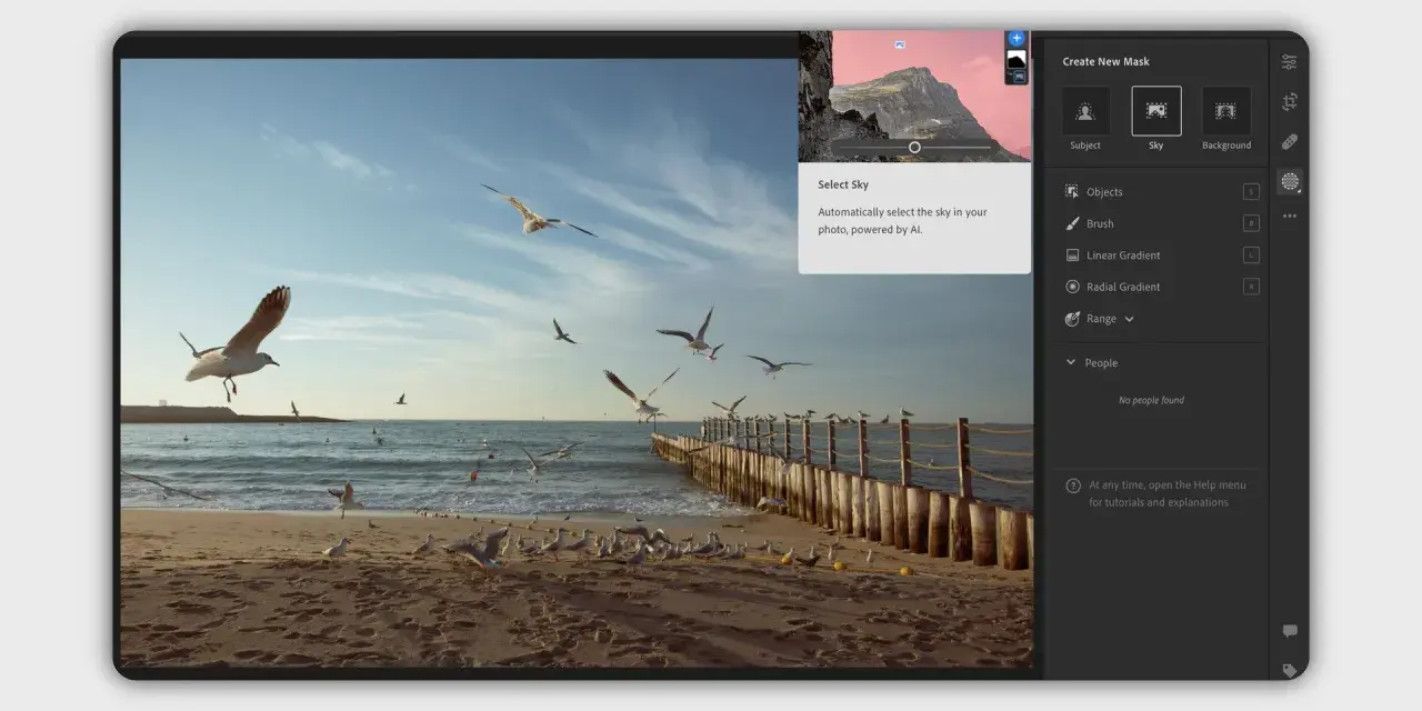 Edycja zdjęcia z mewami na plaży. Program Lightroom free automatycznie zaznacza niebo.
