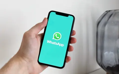 Dłoń trzyma smartfon z logo WhatsApp. Idealne narzędzie do komunikacji, gdy masz internet za granicą.