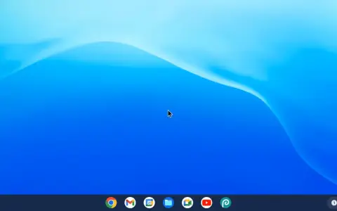 Pulpit systemu Chrome OS z niebieską tapetą i paskiem zadań z ikonami aplikacji.