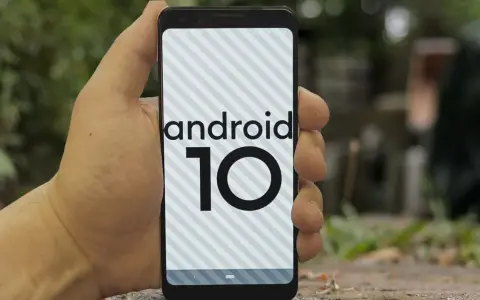 Dłoń trzyma smartfon z logo android 10 na ekranie.