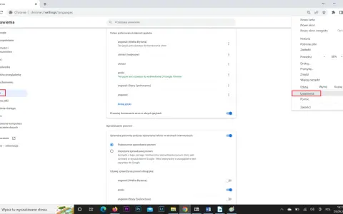 Jak zmienić język w przeglądarce Google i uniknąć problemów z ustawieniami