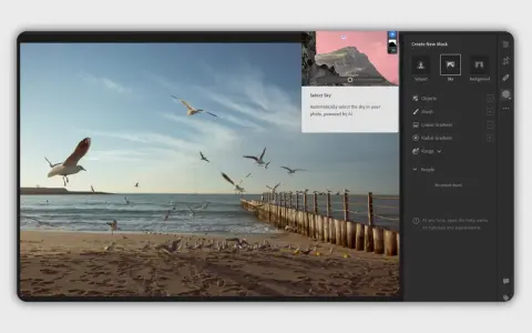 Edycja zdjęcia z mewami na plaży. Program Lightroom free automatycznie zaznacza niebo.