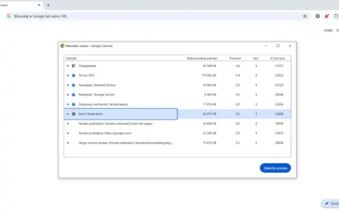 Menedżer zadań Google Chrome pokazuje, że "Karta: Nowa karta" zużywa 28 976 KB pamięci.