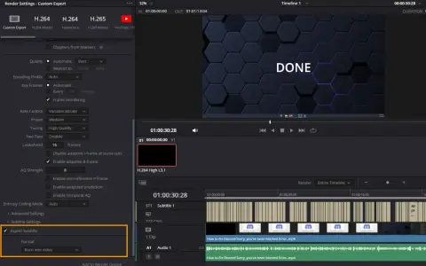 Ustawienia eksportu w DaVinci Resolve po polsku: zaznaczono opcję "Export Subtitle" i format "Burn into video".