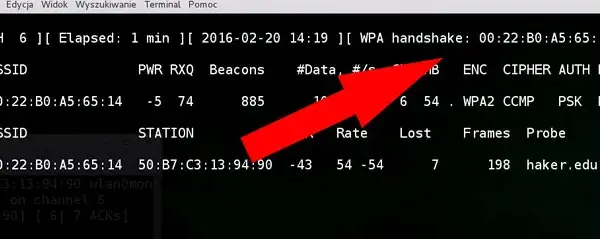 Jak złamać hasło do wifi i uniknąć konsekwencji prawnych