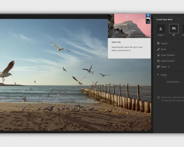 Edycja zdjęcia z mewami na plaży. Program Lightroom free automatycznie zaznacza niebo.