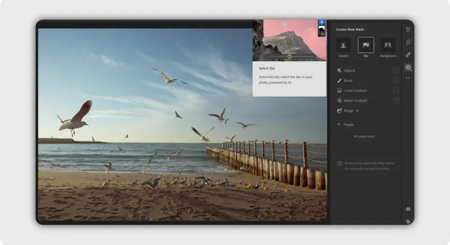 Edycja zdjęcia z mewami na plaży. Program Lightroom free automatycznie zaznacza niebo.