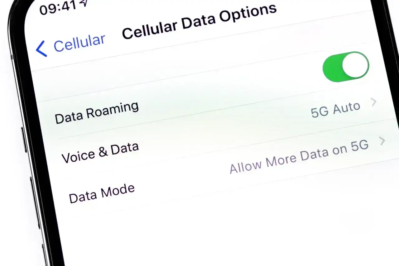 Ustawienia telefonu: włączony roaming danych, opcje 5G.